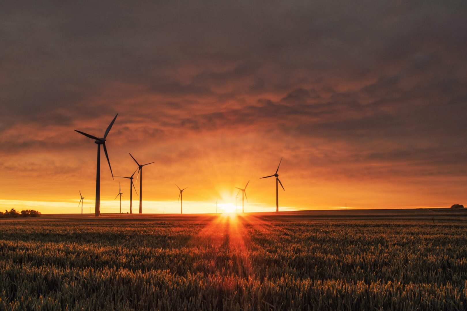 A field with wind turbines in the background.