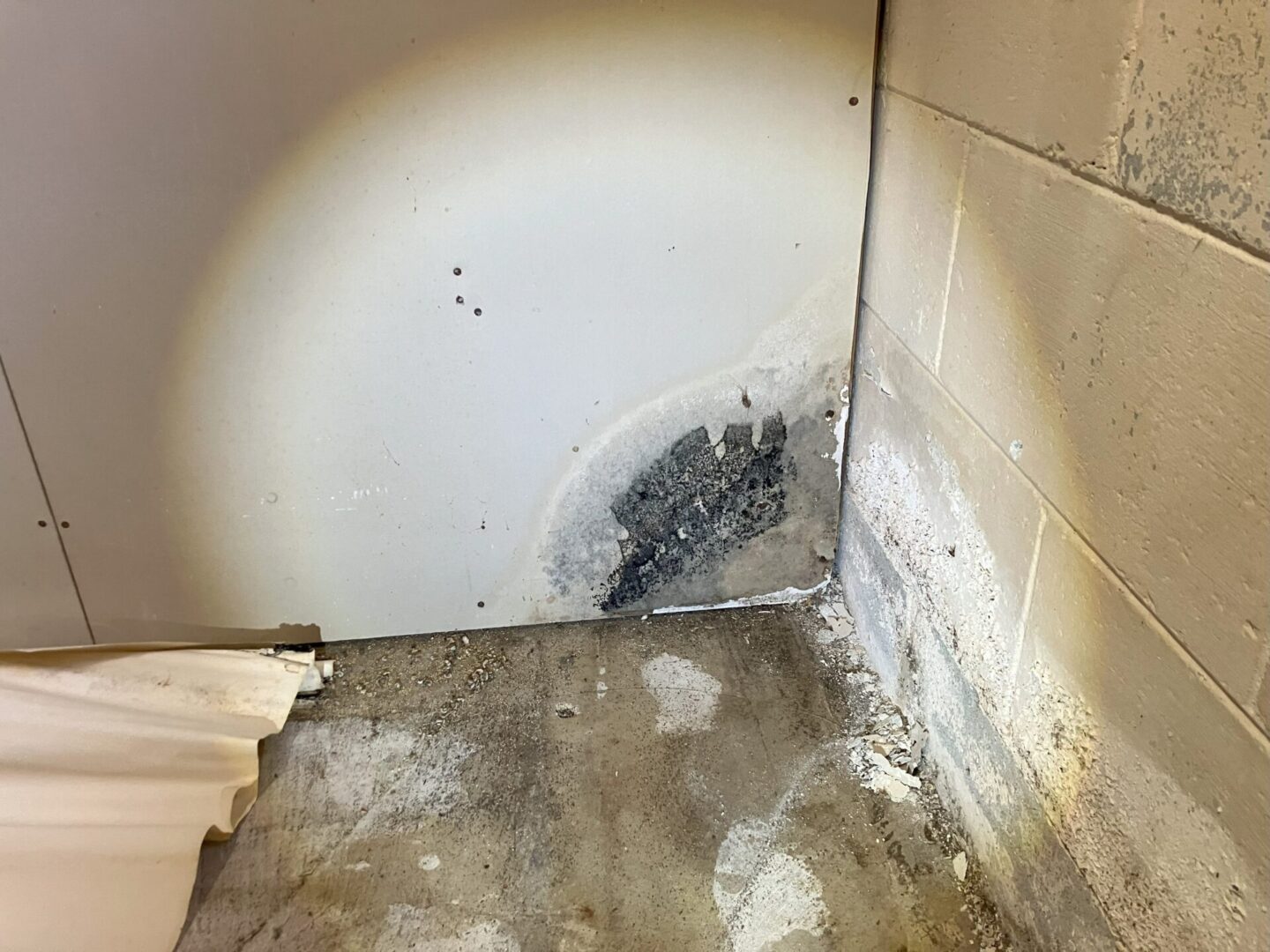 A bathroom with black mold on the wall and floor.