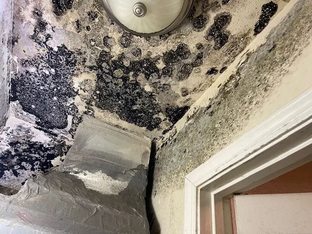 A room with black mold on the ceiling.