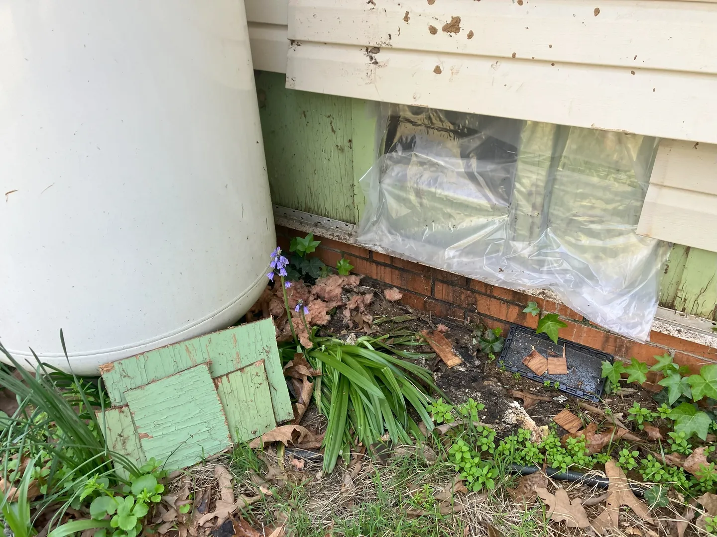 A corner of the house with weeds and debris.